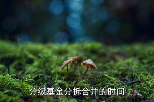 基金什么時(shí)候拆分，基金一般在什么時(shí)候拆分或分紅