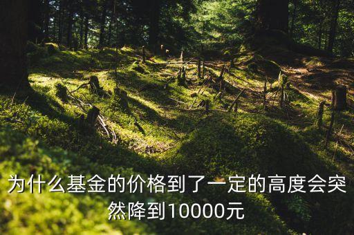 為什么基金的價(jià)格到了一定的高度會突然降到10000元