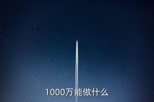 投資1000萬(wàn)能做什么，1000W能做什么