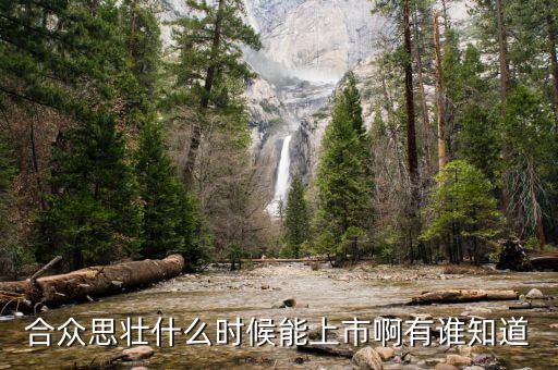 合眾思?jí)咽裁磿r(shí)候復(fù)牌，合眾思?jí)咽裁磿r(shí)候能上市啊有誰(shuí)知道