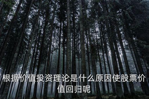 為什么價(jià)值投資策略的超額回報(bào)，為什么說股市長(zhǎng)期投資是風(fēng)險(xiǎn)小回報(bào)高
