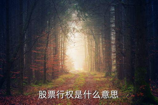 股票行權是什么意思