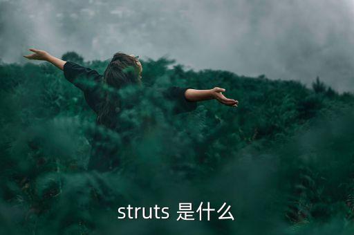 什么是中植系，struts 是什么