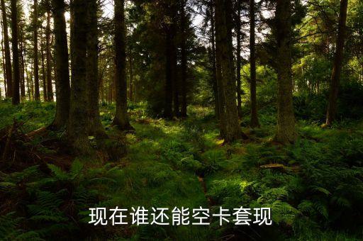 什么地方可以空卡套現(xiàn)，誰知道煙臺地區(qū)有辦理空卡套現(xiàn)的么