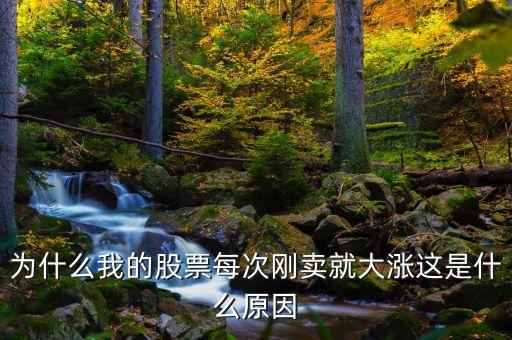 為什么我的股票每次剛賣(mài)就大漲這是什么原因