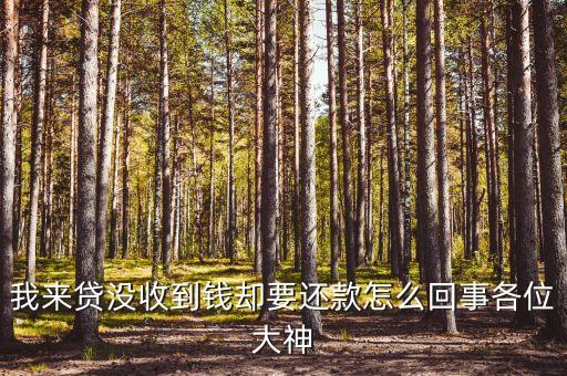 我來貸沒收到錢卻要還款怎么回事各位大神