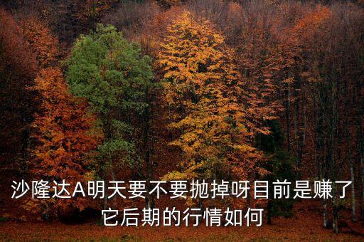 沙隆達(dá)A明天要不要拋掉呀目前是賺了它后期的行情如何