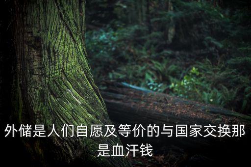 外儲為什么轉(zhuǎn)入民間，外儲是 什么 意思