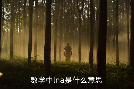 數(shù)學(xué)中l(wèi)na是什么意思