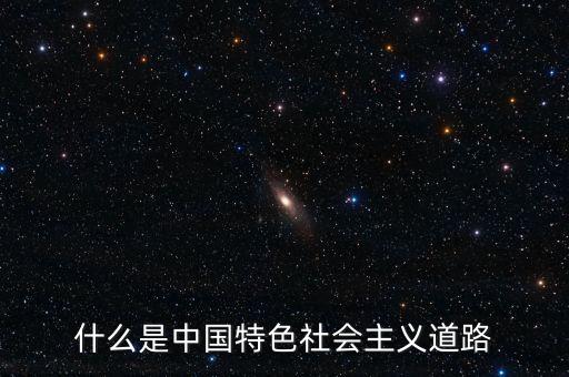 什么是中國特色社會主義道路