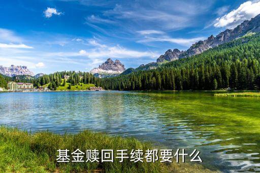 基金贖回需帶什么，基金贖回手續(xù)都要什么