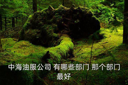 中海油什么部門好，中海油服公司 有哪些部門 那個部門最好