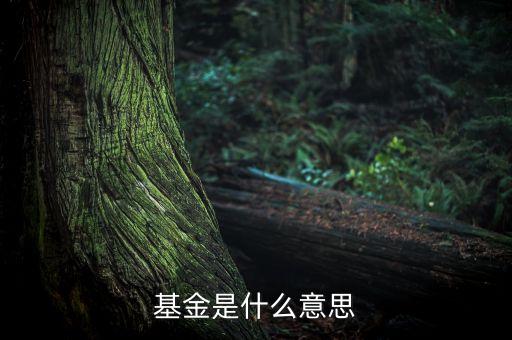 一張圖看懂什么是基金，什么是基金