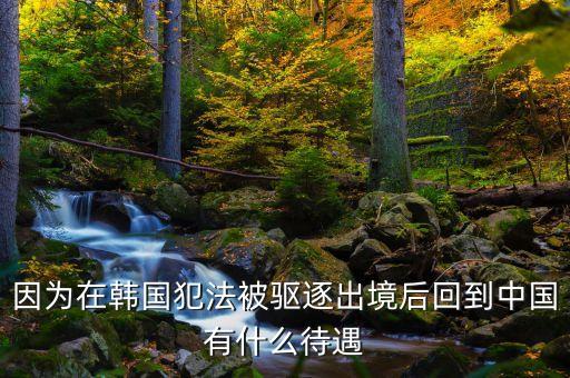 在國外犯罪逃回國有什么后果，逃犯持外國護照回國會怎樣