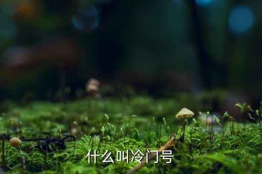 什么叫冷門(mén)股，楊子一老公叫什么名子
