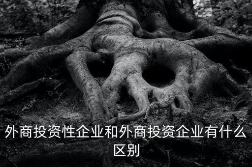 什么是投資性公司，外商投資性企業(yè)和外商投資企業(yè)有什么區(qū)別