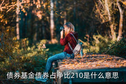 基金中的占凈比什么意思，債券基金債券占凈比210是什么意思