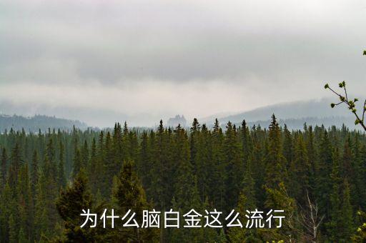 為什么腦白金這么流行
