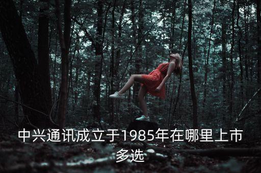中興第一代手機(jī)什么時間上市，中興 Grand X IN 什么時候上市