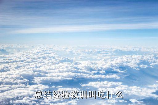 總結經驗教訓叫吃什么