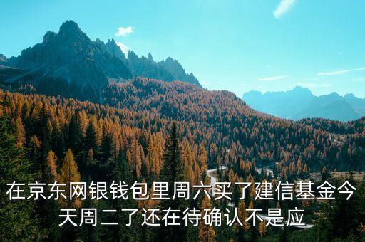 002378建信什么時候確認(rèn)份額，在京東網(wǎng)銀錢包里周六買了建信基金今天周二了還在待確認(rèn)不是應(yīng)