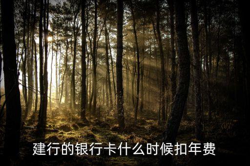 建行的銀行卡什么時(shí)候扣年費(fèi)
