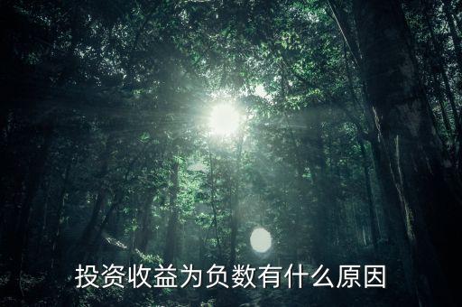 投資收益為負(fù)數(shù)有什么原因