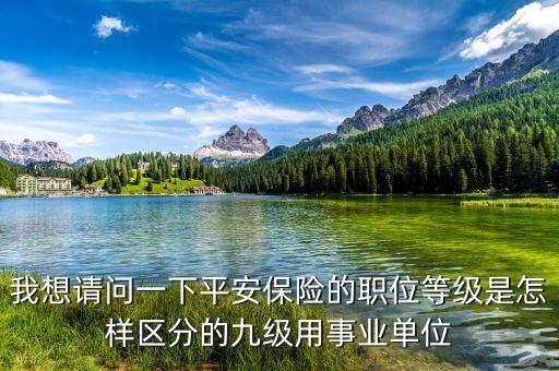 人保林智勇行政級別是什么，中華聯(lián)合保險(xiǎn)董事長級別