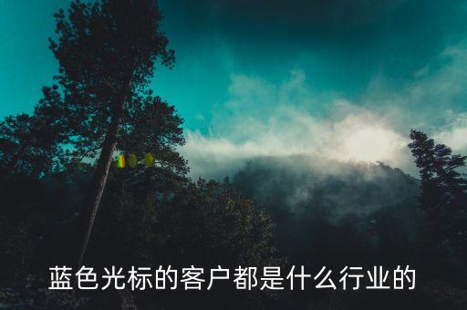 藍(lán)色光標(biāo)的客戶(hù)都是什么行業(yè)的