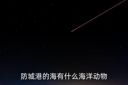 什么是沿邊金融，防城港的海有什么海洋動物