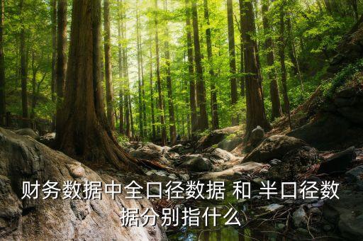 財務(wù)數(shù)據(jù)中全口徑數(shù)據(jù) 和 半口徑數(shù)據(jù)分別指什么