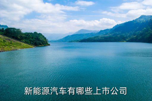 上汽集團(tuán)什么時(shí)候上市，上汽集團(tuán)股票的發(fā)行價(jià)格是多少