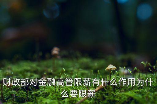 財(cái)政部對金融高管限薪有什么作用為什么要限薪