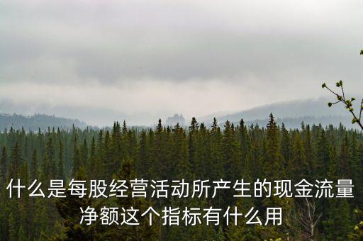 什么是每股經(jīng)營(yíng)活動(dòng)所產(chǎn)生的現(xiàn)金流量?jī)纛~這個(gè)指標(biāo)有什么用