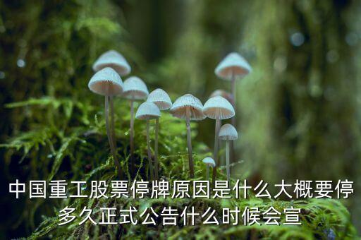 中國重工股票停牌原因是什么大概要停多久正式公告什么時候會宣