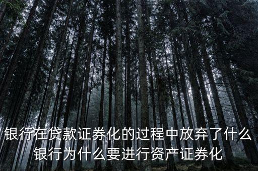 銀行在貸款證券化的過(guò)程中放棄了什么銀行為什么要進(jìn)行資產(chǎn)證券化