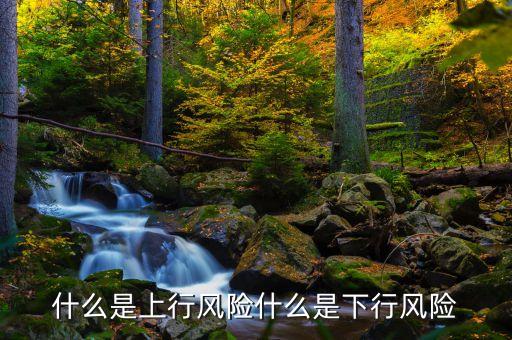 什么是上行風險什么是下行風險