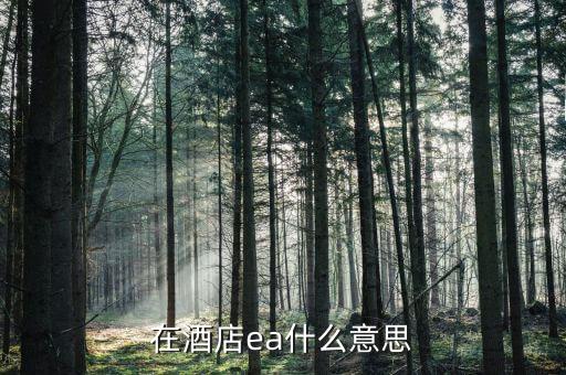 ea門(mén)店是什么意思，在酒店ea什么意思