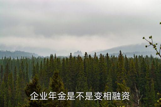 變相融資是什么，什么是變相的非法融資