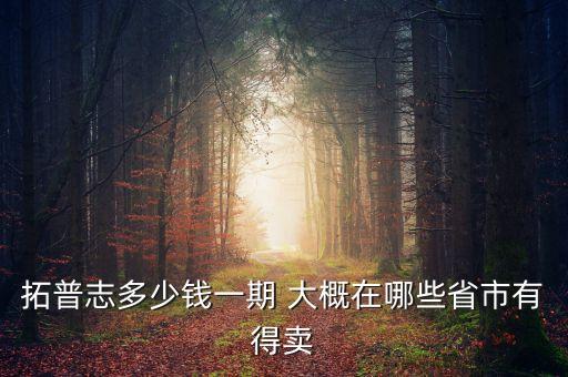 拓普賣什么，PRADA 主要賣什么