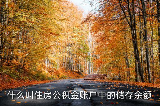 什么叫住房公積金賬戶中的儲存余額