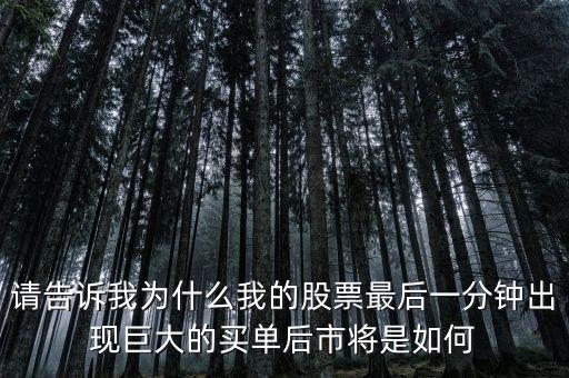 請告訴我為什么我的股票最后一分鐘出現(xiàn)巨大的買單后市將是如何