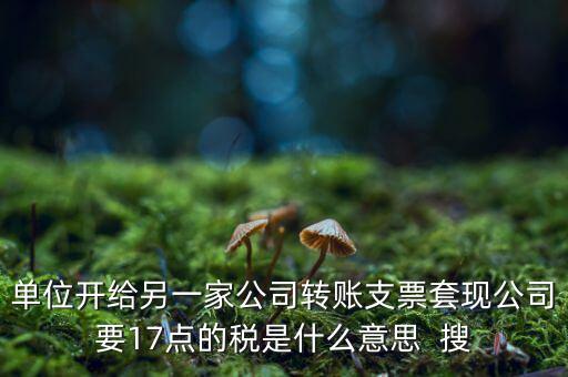 發(fā)票套現(xiàn)什么概念，票據(jù)貼現(xiàn)是這么意思套現(xiàn)又是什么意思