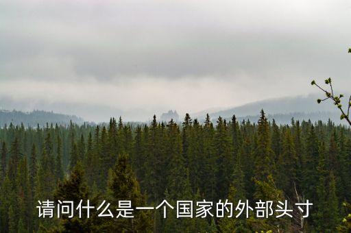 請(qǐng)問(wèn)什么是一個(gè)國(guó)家的外部頭寸