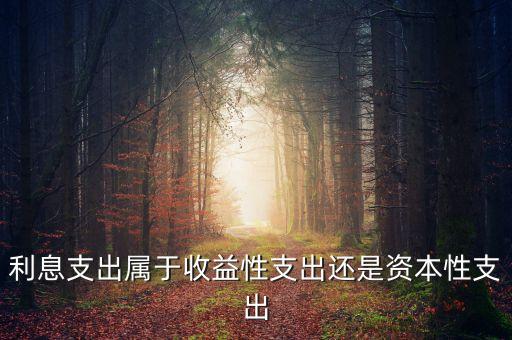 債務利息支出屬于什么，利息支出屬于收益性支出還是資本性支出