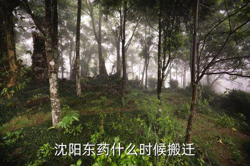 有沈陽(yáng)東北制藥搬遷是什么時(shí)候嗎，沈陽(yáng)東藥什么時(shí)候搬遷