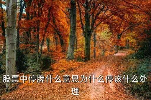 股票中停牌什么意思為什么停該什么處理