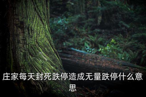 莊家每天封死跌停造成無量跌停什么意思