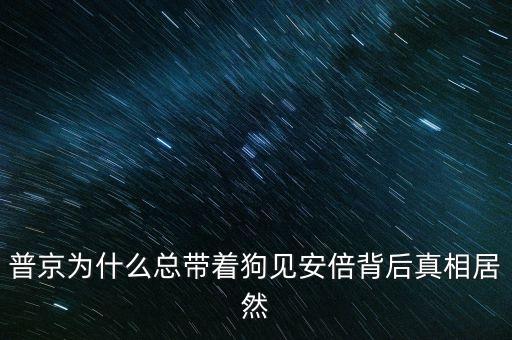 普京為什么總帶著狗見(jiàn)安倍背后真相居然
