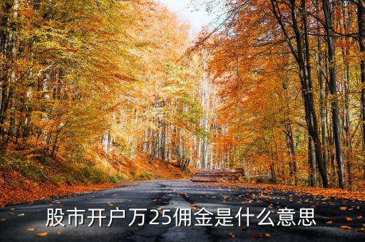 股市開(kāi)戶(hù)萬(wàn)25傭金是什么意思